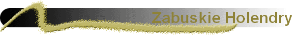 Zabuskie Holendry
