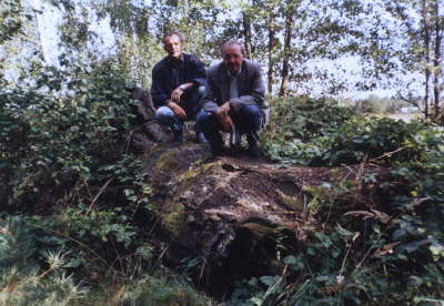 Die Eichen